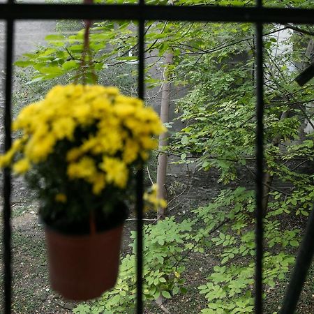 Natalie'S Place Белград Екстериор снимка