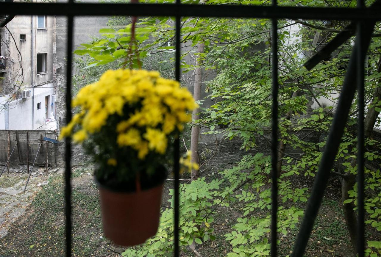 Natalie'S Place Белград Екстериор снимка